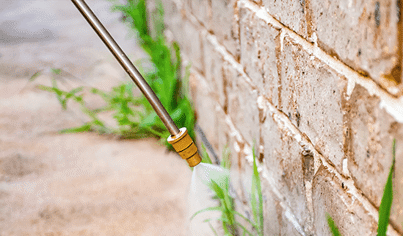 Long-Term Weed Control