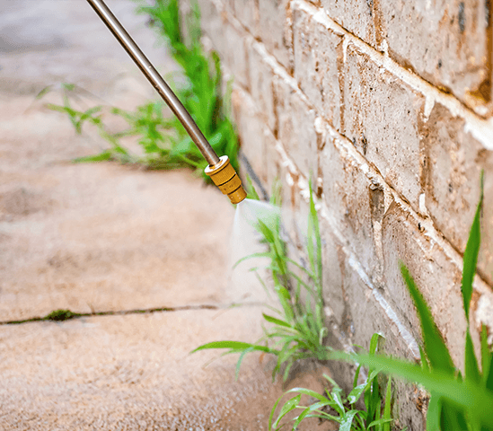 Long-Term Weed Control