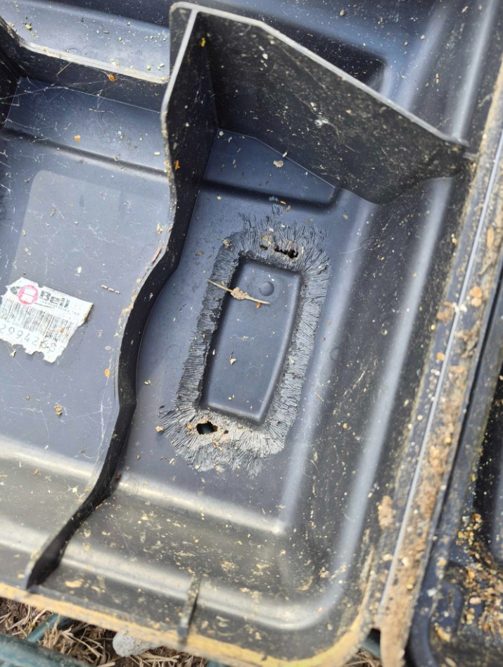 Plastic bait station with gnaw marks showing signs of rat chewing